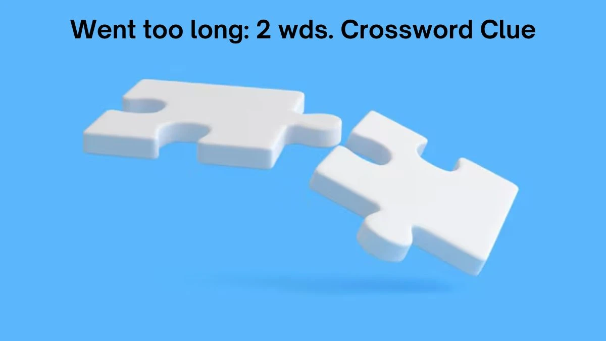 Went too long: 2 wds. Daily Commuter Crossword Clue Answers on July 19, 2024