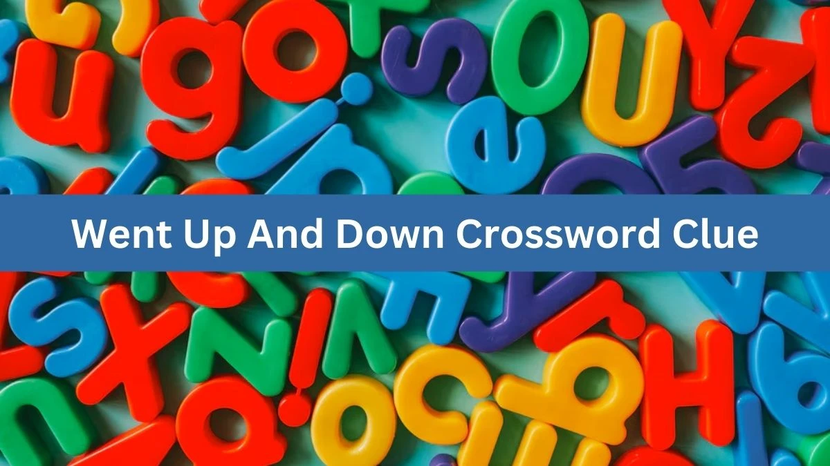 Went Up And Down Daily Commuter Crossword Clue Answers on July 15, 2024