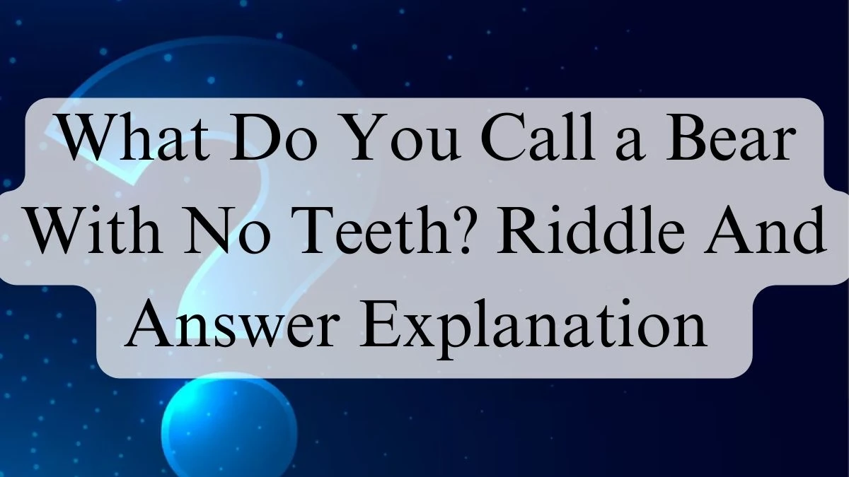 What Do You Call a Bear With No Teeth? Riddle And Answer Explanation