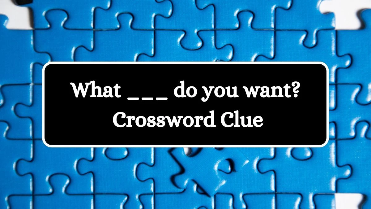 Daily Commuter What ___ do you want? Crossword Clue Puzzle Answer from July 22, 2024