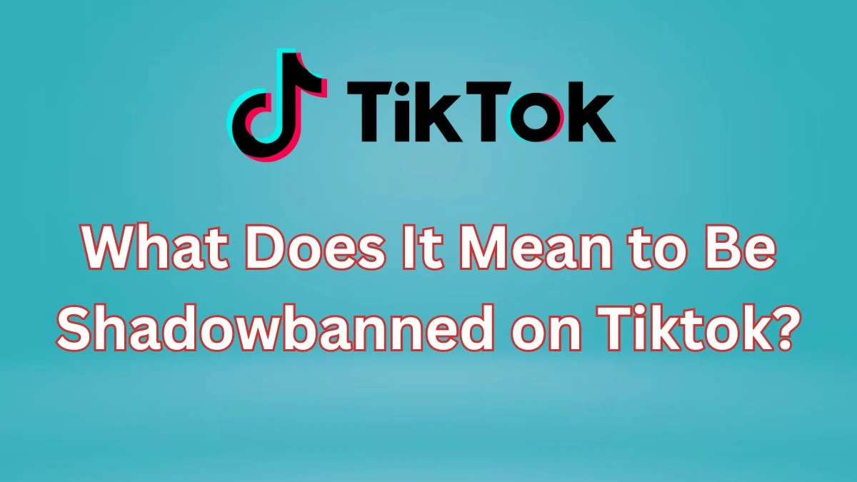 What Does It Mean to Be Shadowbanned on Tiktok? How to Get Rid of Shadowban on Tiktok?