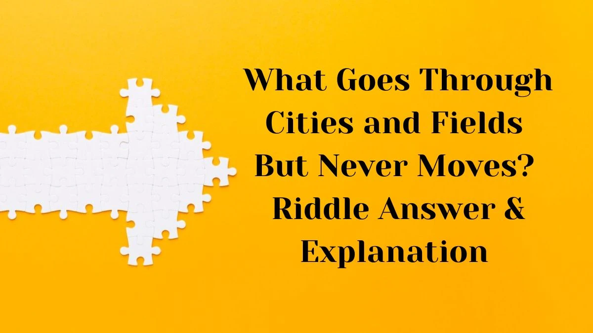 What Goes Through Cities and Fields But Never Moves? Riddle Answer Explained