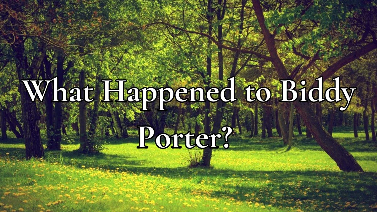 What Happened to Biddy Porter? Who Killed Biddy?