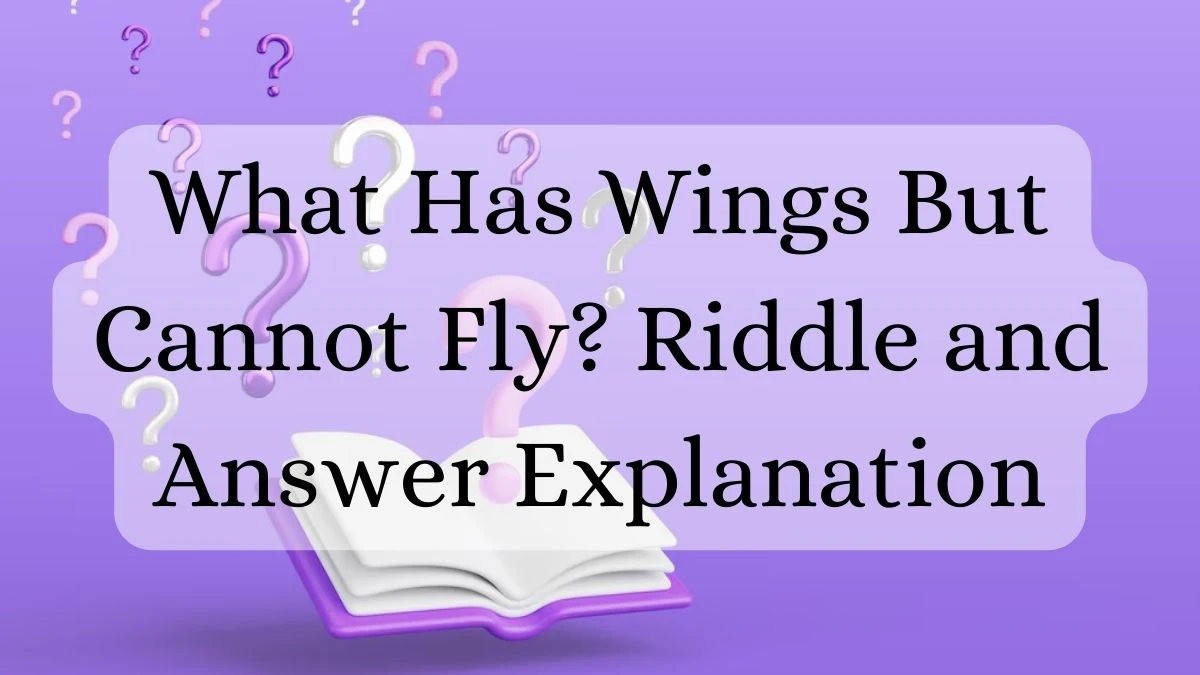 What Has Wings But Cannot Fly? Riddle and Answer Explanation