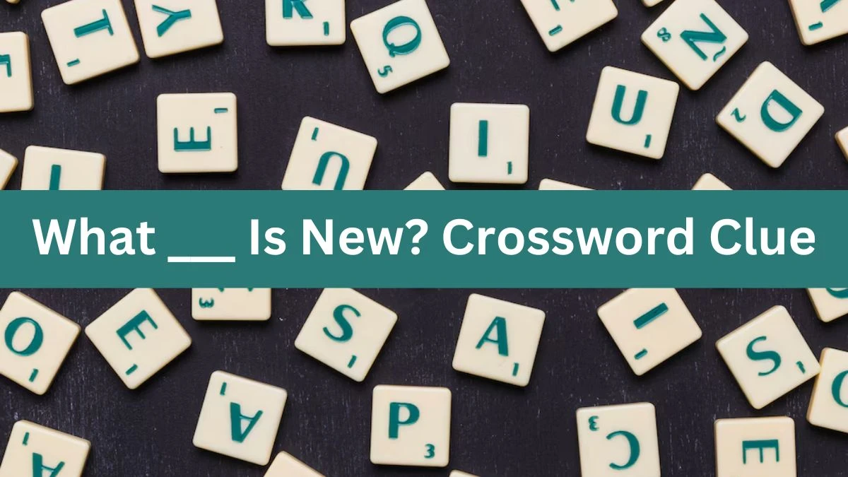 What ___ Is New? Daily Commuter Crossword Clue Puzzle Answer from July 23, 2024