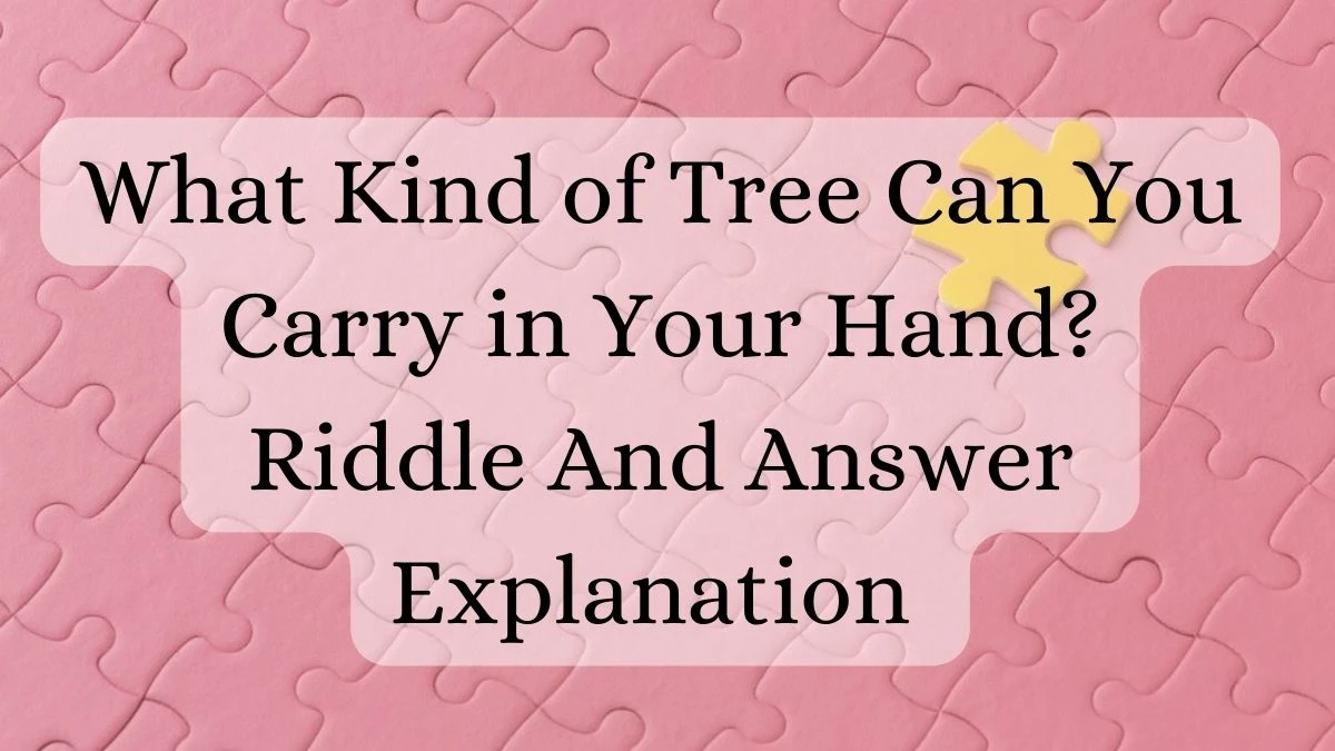 What Kind of Tree Can You Carry in Your Hand? Riddle And Answer Explanation