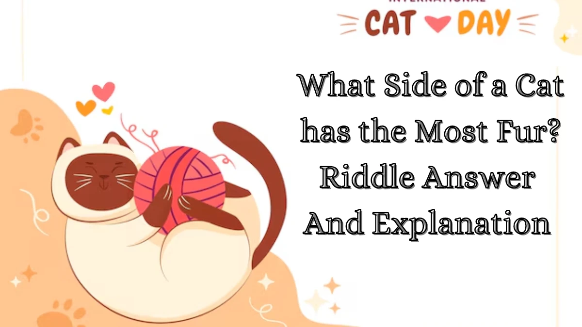 What Side of a Cat has the Most Fur? Riddle Answer And Explanation