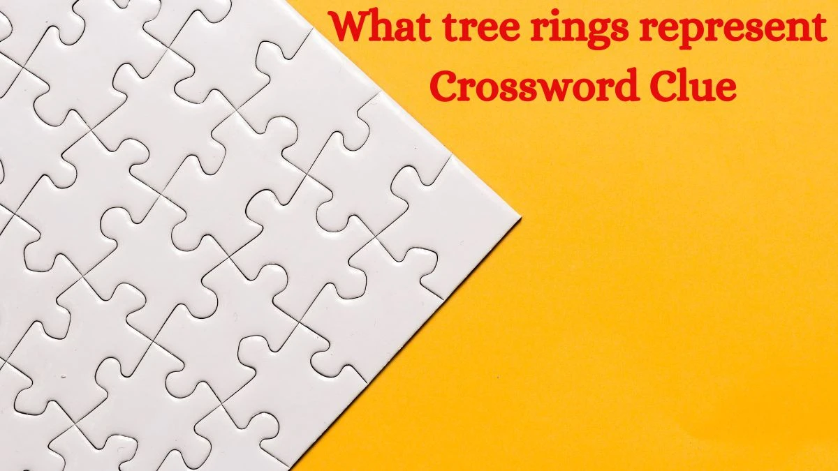 USA Today What tree rings represent Crossword Clue Puzzle Answer from July 08, 2024