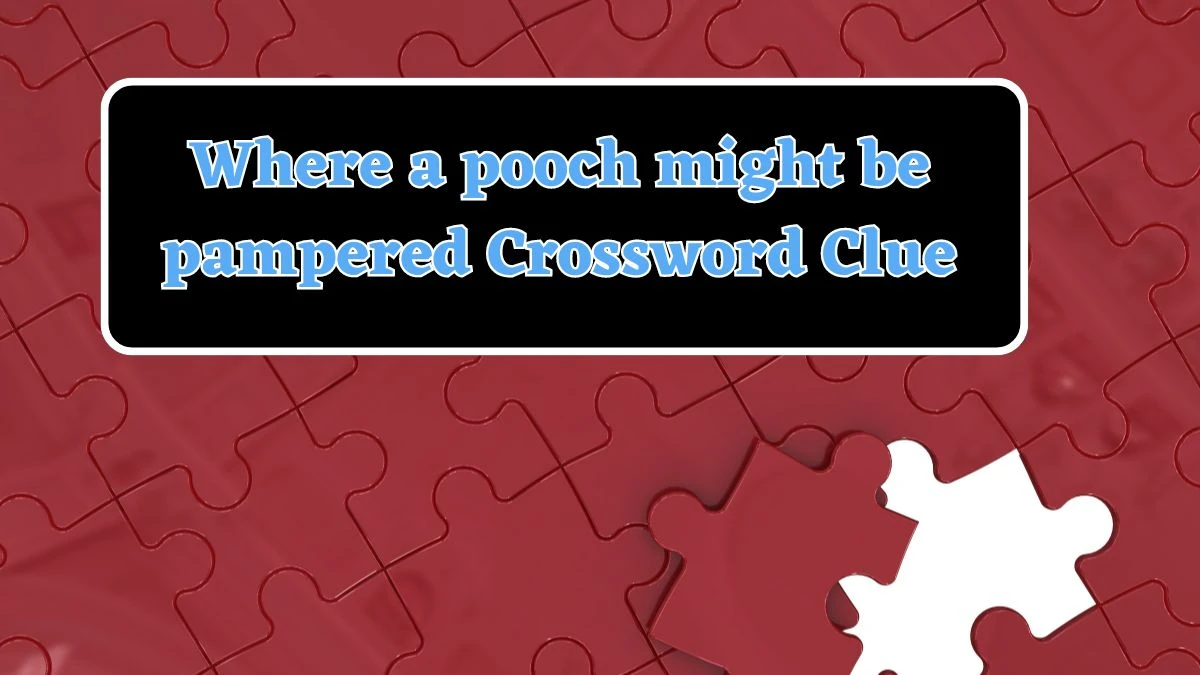 USA Today Where a pooch might be pampered Crossword Clue Puzzle Answer from July 23, 2024