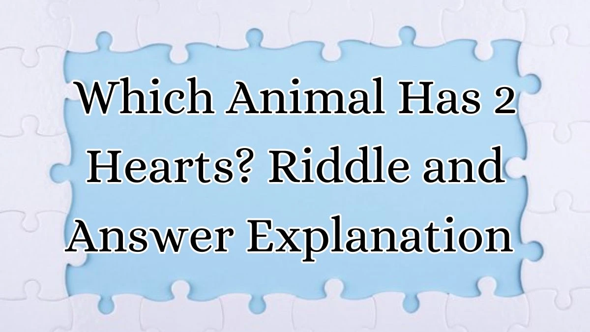 Which Animal Has 2 Hearts? Riddle and Answer Explanation