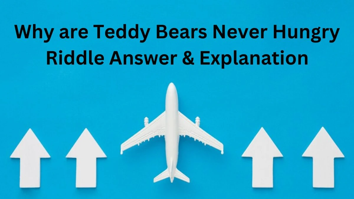 Why are Teddy Bears Never Hungry Riddle Answer Explained