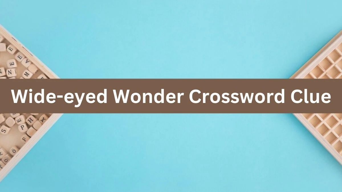 Daily Themed Wide-eyed Wonder Crossword Clue Puzzle Answer from July 19, 2024