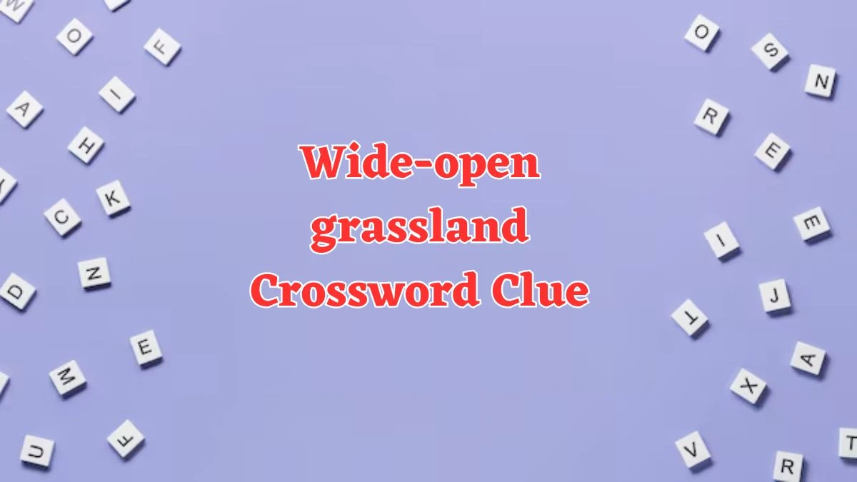 Wide-open grassland NYT Crossword Clue Puzzle Answer from July 23, 2024