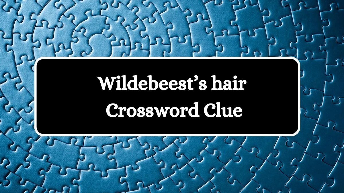 USA Today Wildebeest’s hair Crossword Clue Puzzle Answer from July 27, 2024