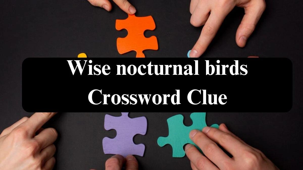 Daily Themed Wise nocturnal birds Crossword Clue Puzzle Answer from July 27, 2024