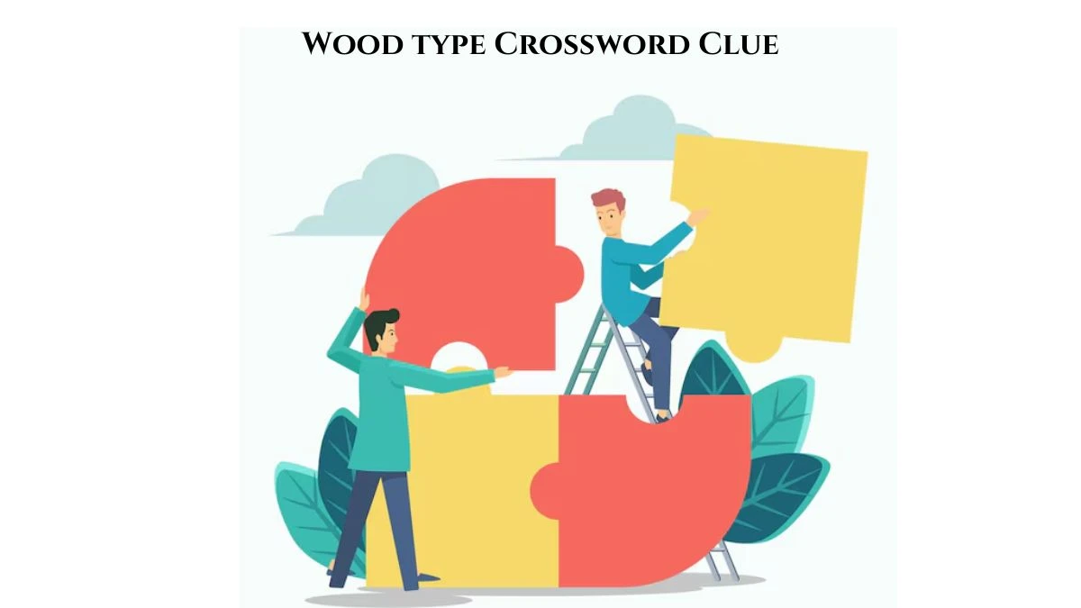 Irish Daily Mail Quick Wood type Crossword Clue 4 Letters Puzzle Answer from July 21, 2024