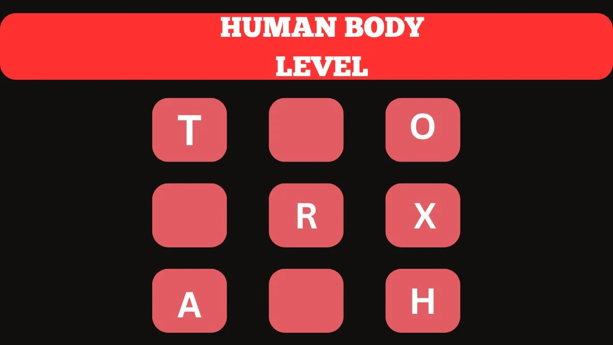 Wordbrain 2 Human Body Answers Today July 2nd 2024