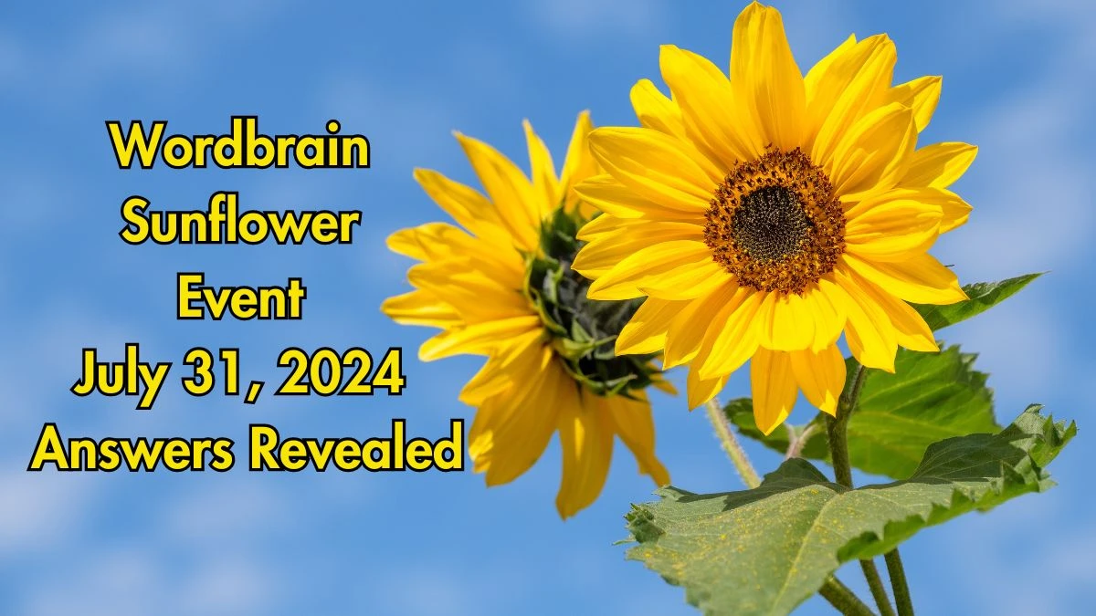 Wordbrain Sunflower Event July 31, 2024 Answers Revealed