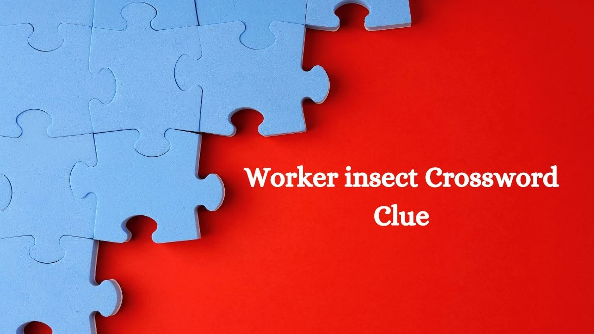 Daily Commuter Worker insect Crossword Clue Puzzle Answer from July 11, 2024