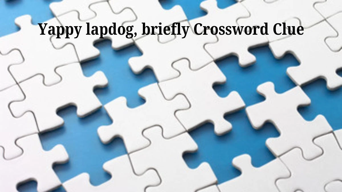 Yappy lapdog, briefly Universal Crossword Clue Puzzle Answer from July 01, 2024