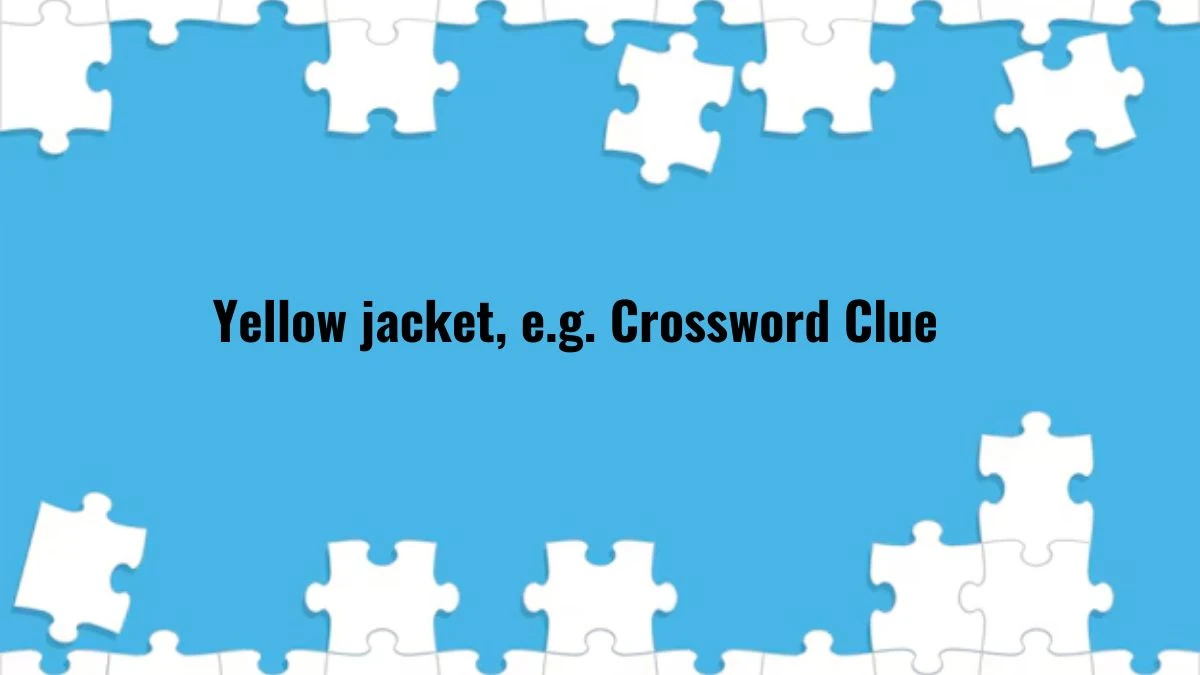 NYT Yellow jacket, e.g. Crossword Clue Puzzle Answer from July 16, 2024