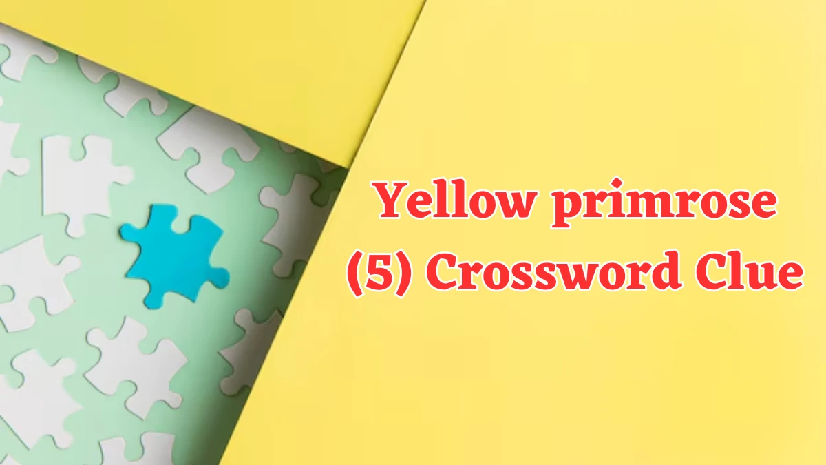 NYT Yellow primrose (5) Crossword Clue Puzzle Answer from July 30, 2024