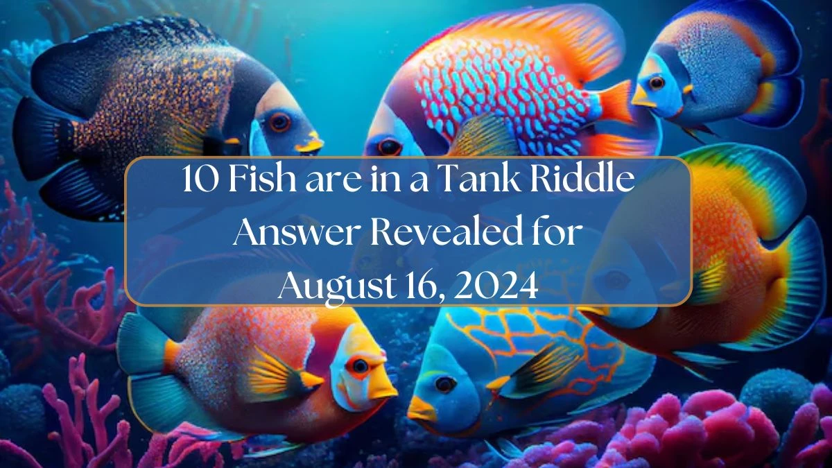 10 Fish are in a Tank Riddle Answer Revealed for August 16, 2024