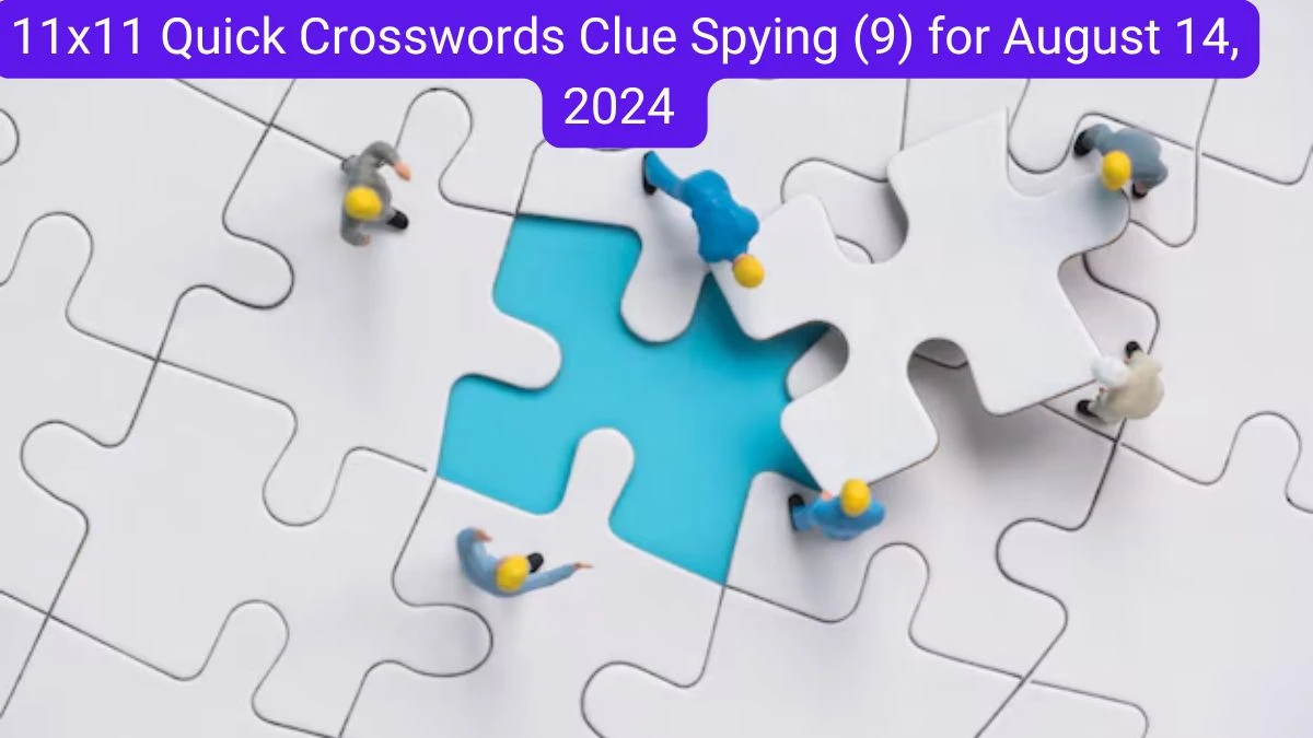 11x11 Quick Crosswords Clue Spying (9) for August 14, 2024