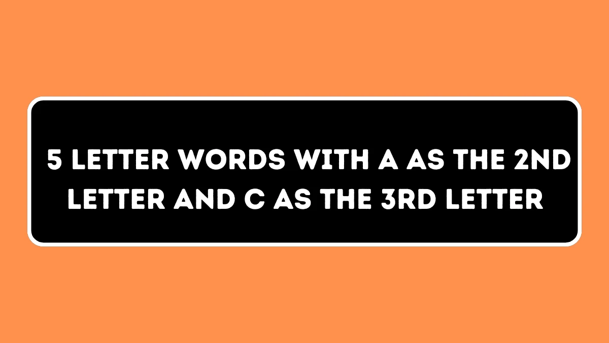 5 Letter Words with A as the 2nd Letter and C as the 3rd Letter All Words List