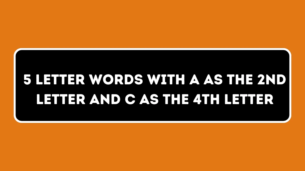 5 Letter Words with A as the 2nd Letter and C as the 4th Letter All Words List