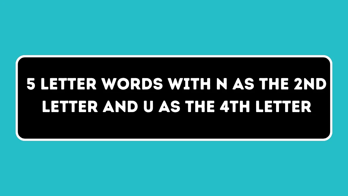 5 letter Words with N as the 2nd Letter and U as the 4th Letter All Words List