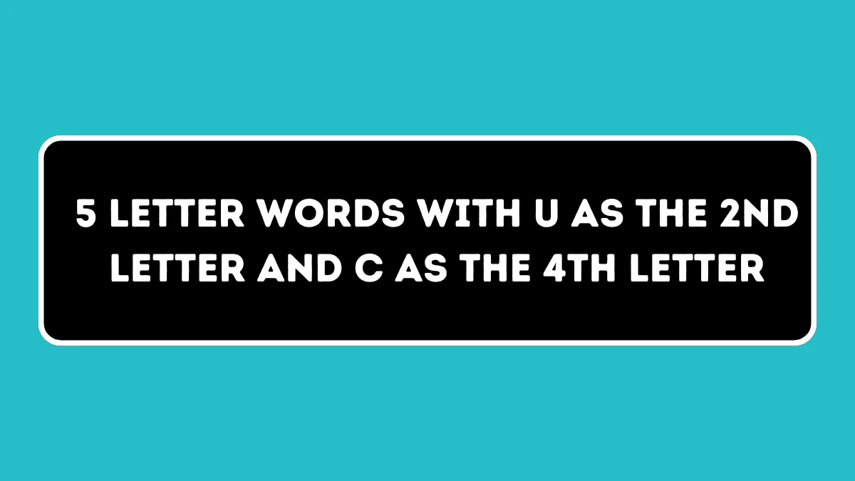 5 Letter Words with U as the 2nd Letter and C as the 4th Letter All Words List