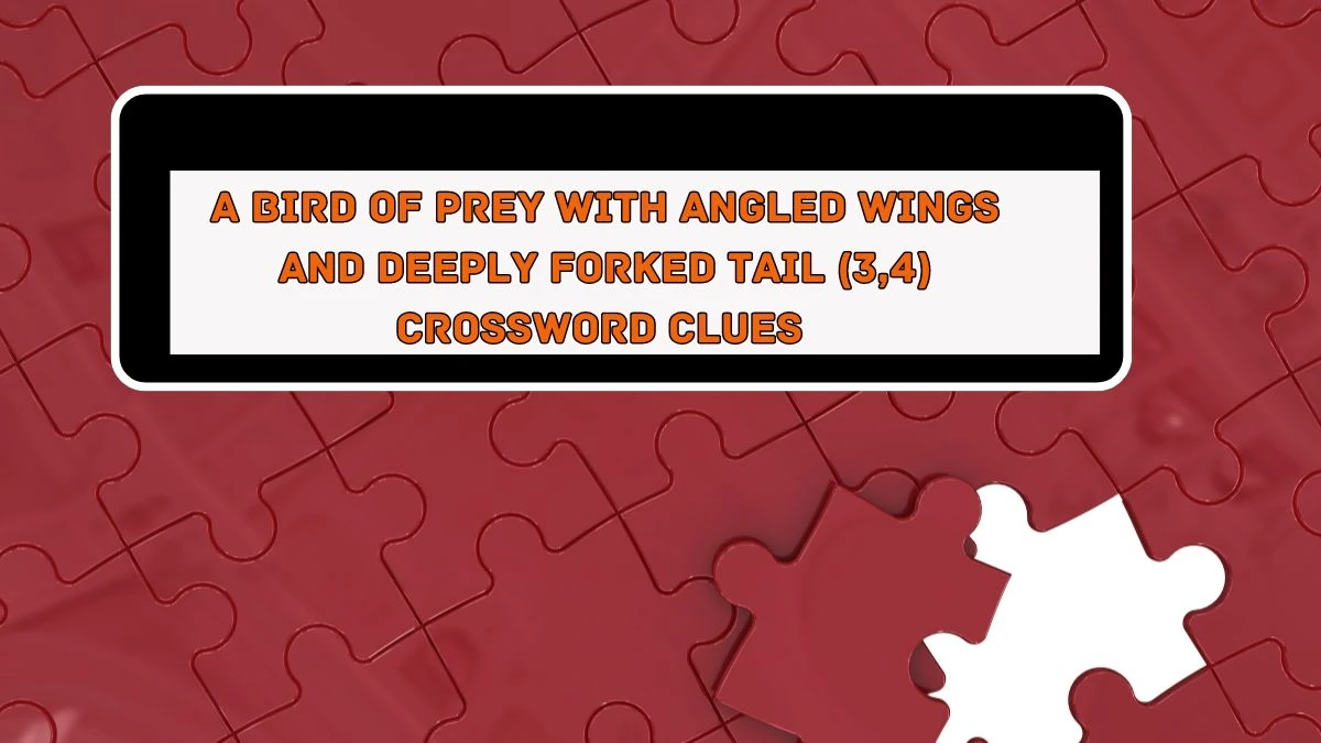 A bird of prey with angled wings and deeply forked tail (3,4) Crossword Clue Puzzle Answer from August 05, 2024