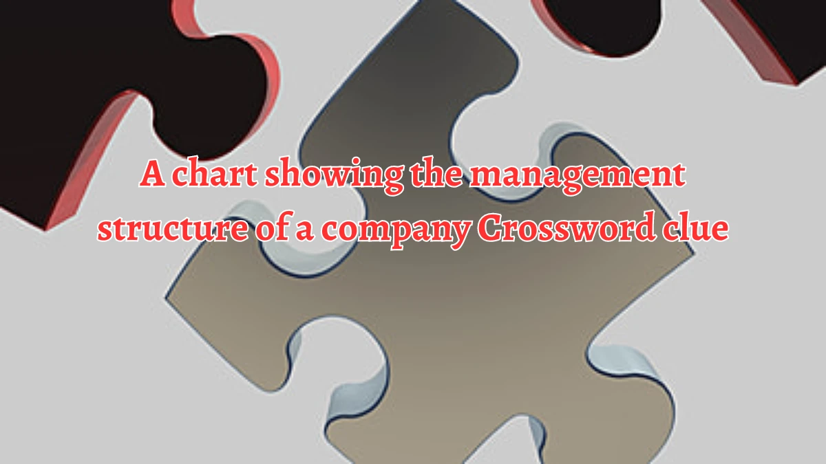 A chart showing the management structure of a company Crossword Clue Answers on August 20, 2024