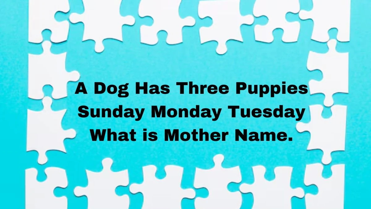 A Dog Has Three Puppies Sunday Monday Tuesday What is Mother Name. Riddle Answer Explained