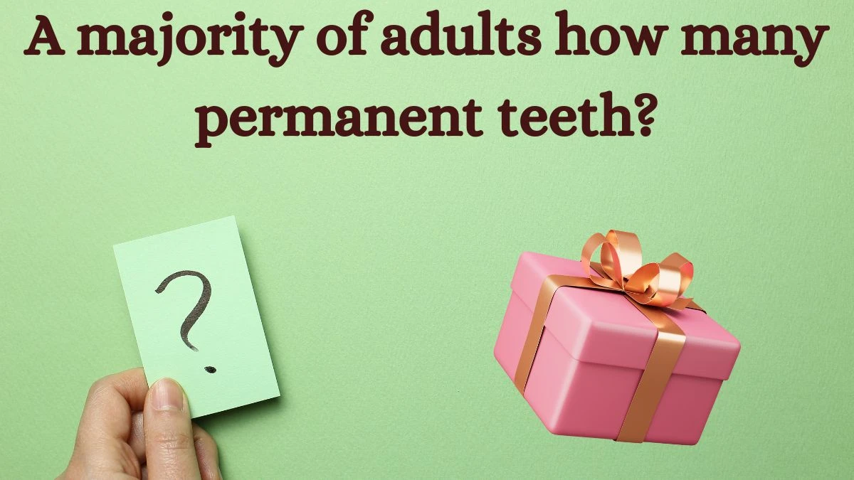 A majority of adults how many permanent teeth? Amazon Quiz Answer Today August 19, 2024