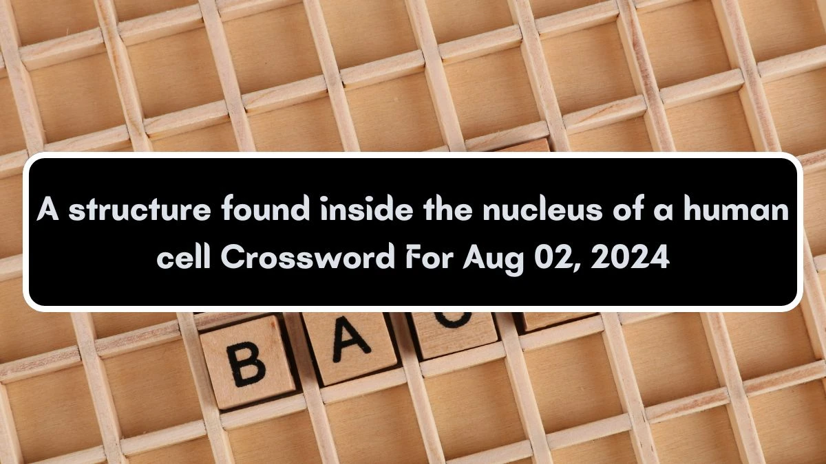 A structure found inside the nucleus of a human cell Crossword Clue Puzzle Answer from August 02, 2024