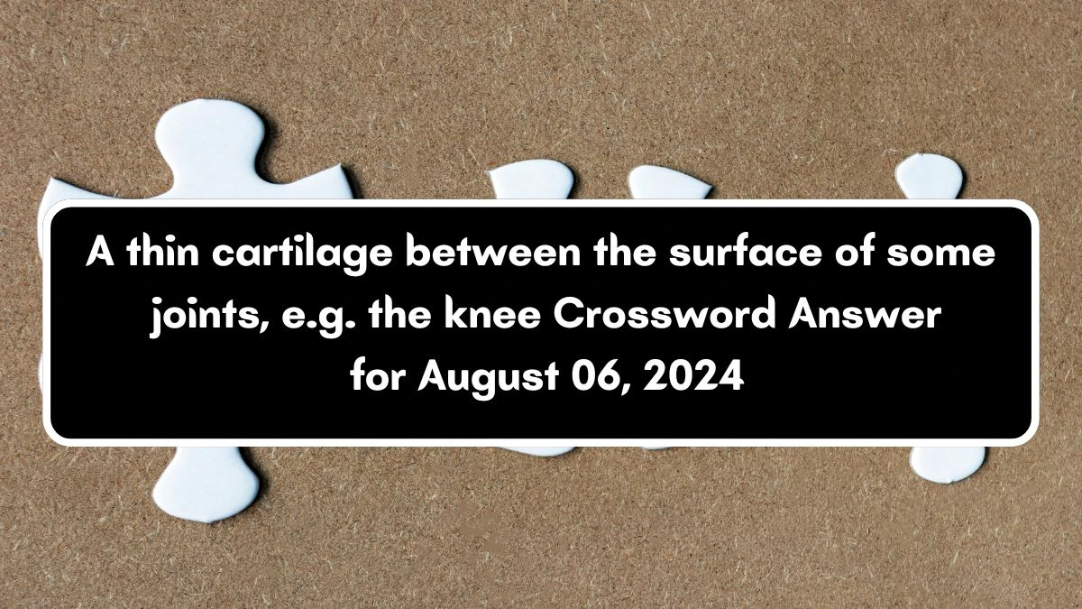 A thin cartilage between the surface of some joints, e.g. the knee Crossword Clue Puzzle Answer from August 06, 2024