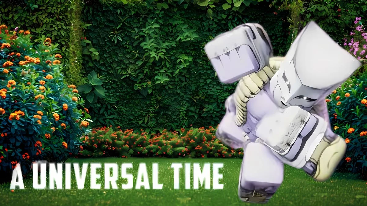 A Universal Time Private Server Codes, How to Redeem the Codes?