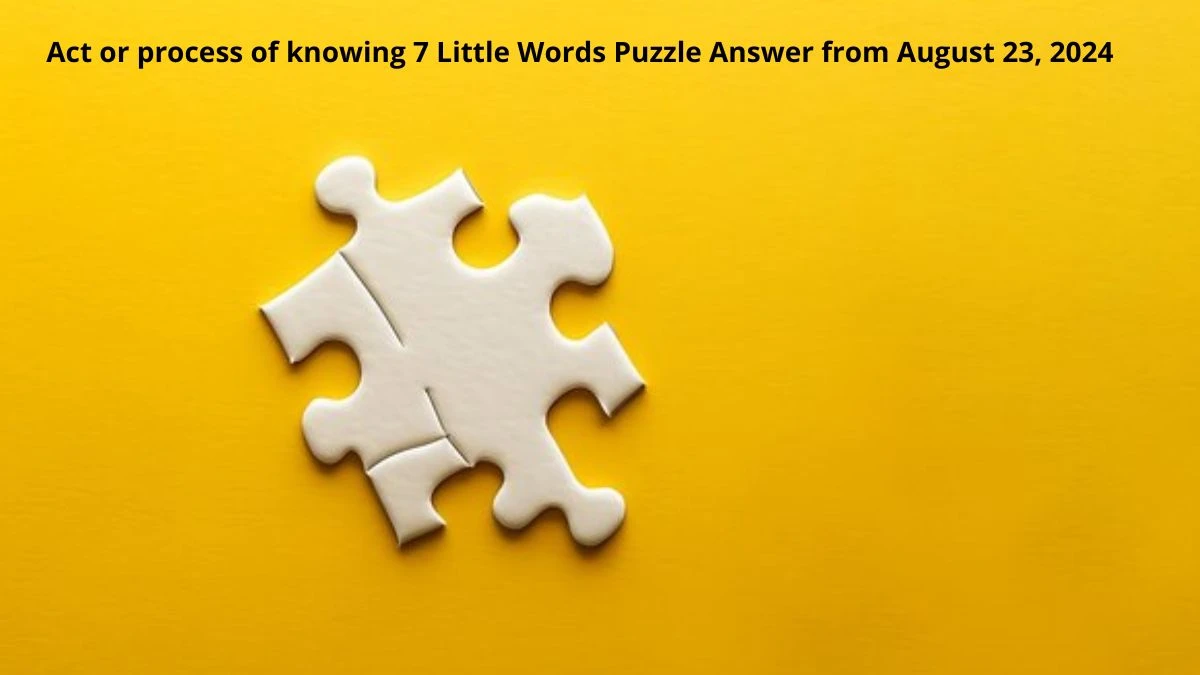 Act or process of knowing 7 Little Words Puzzle Answer from August 23, 2024