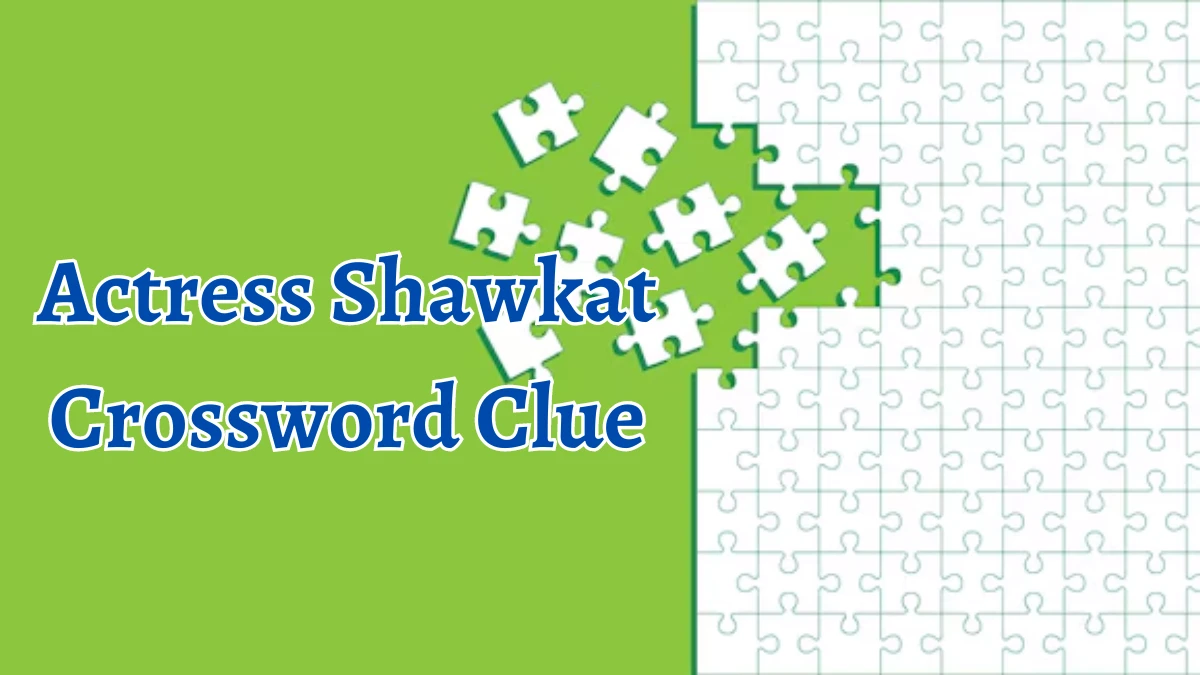 Actress Shawkat Daily Commuter Crossword Clue Puzzle Answer from August 10, 2024