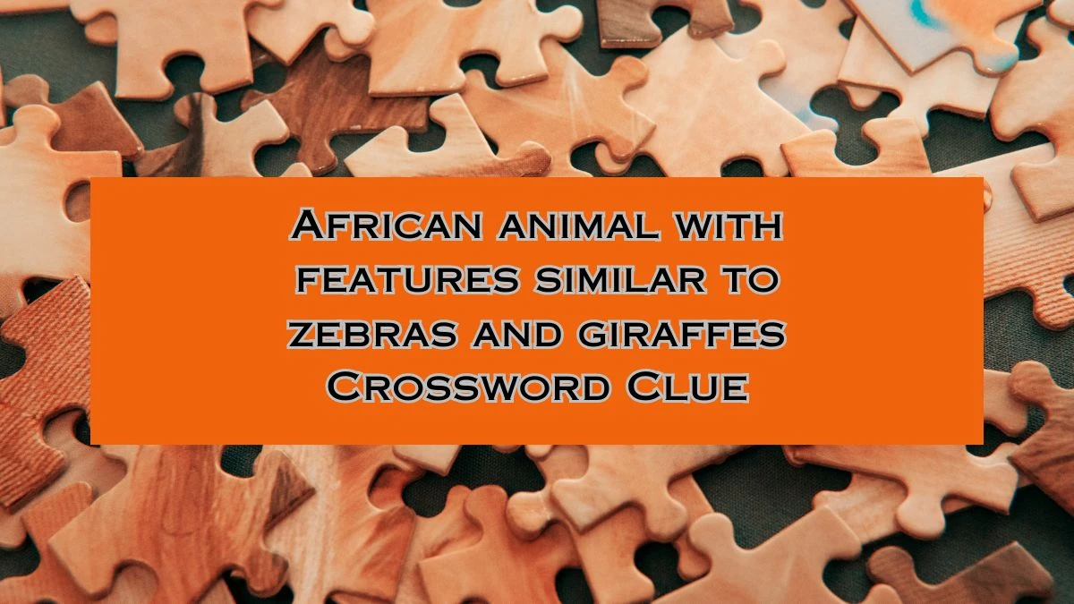 LA Times African animal with features similar to zebras and giraffes Crossword Puzzle Answer from August 02, 2024