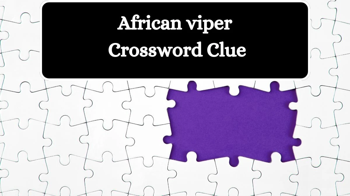 African viper Crossword Clue Puzzle Answer from August 01, 2024