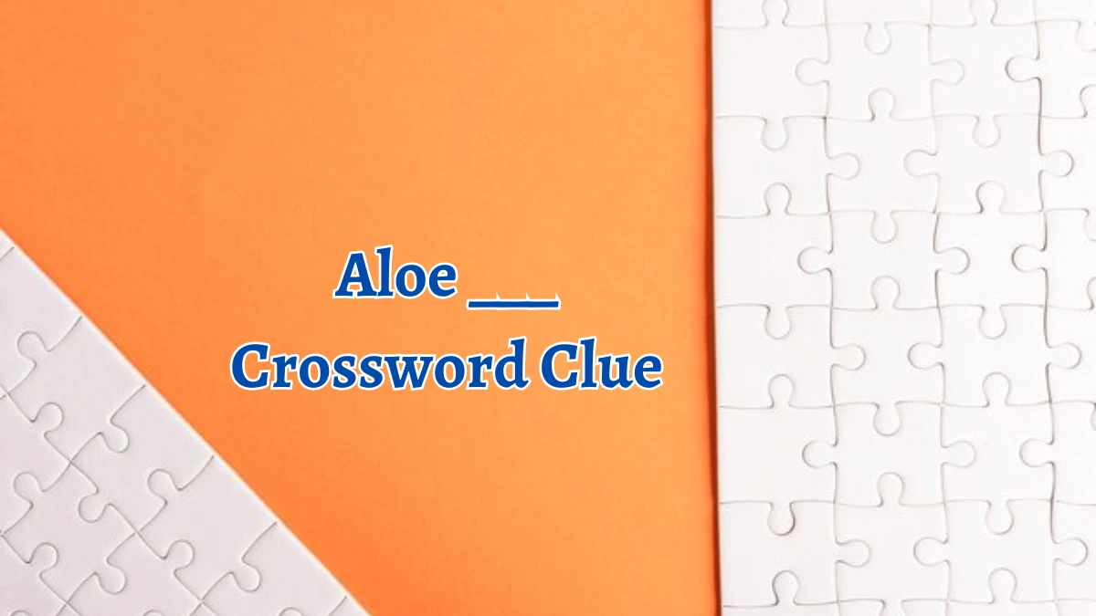 Aloe ___ Daily Themed Crossword Clue Puzzle Answer from August 15, 2024