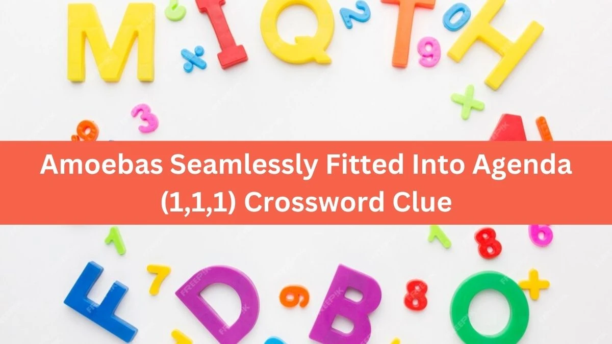 Amoebas Seamlessly Fitted Into Agenda (1,1,1) Crossword Clue Puzzle Answer from August 20, 2024