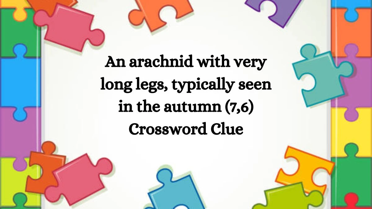 An arachnid with very long legs, typically seen in the autumn (7,6) Crossword Clue Puzzle Answer from August 08, 2024