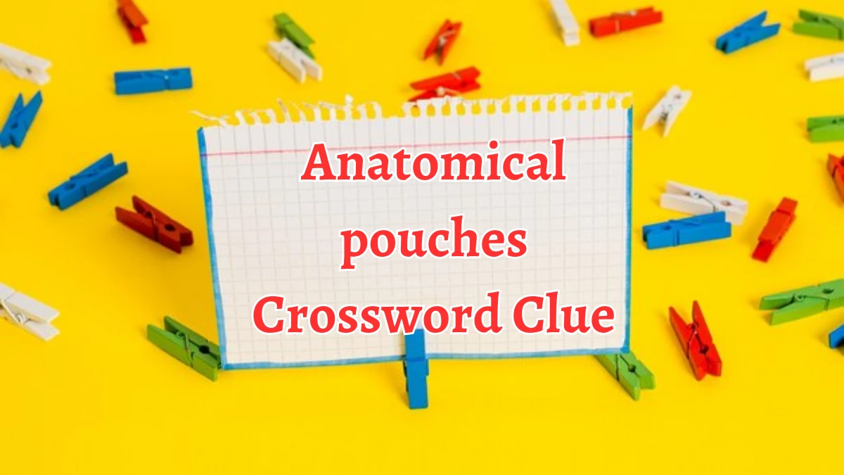 NYT Anatomical pouches (4) Crossword Clue Puzzle Answer from August 29, 2024