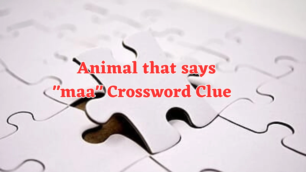 USA Today Animal that says maa Crossword Clue Puzzle Answer from August 03, 2024