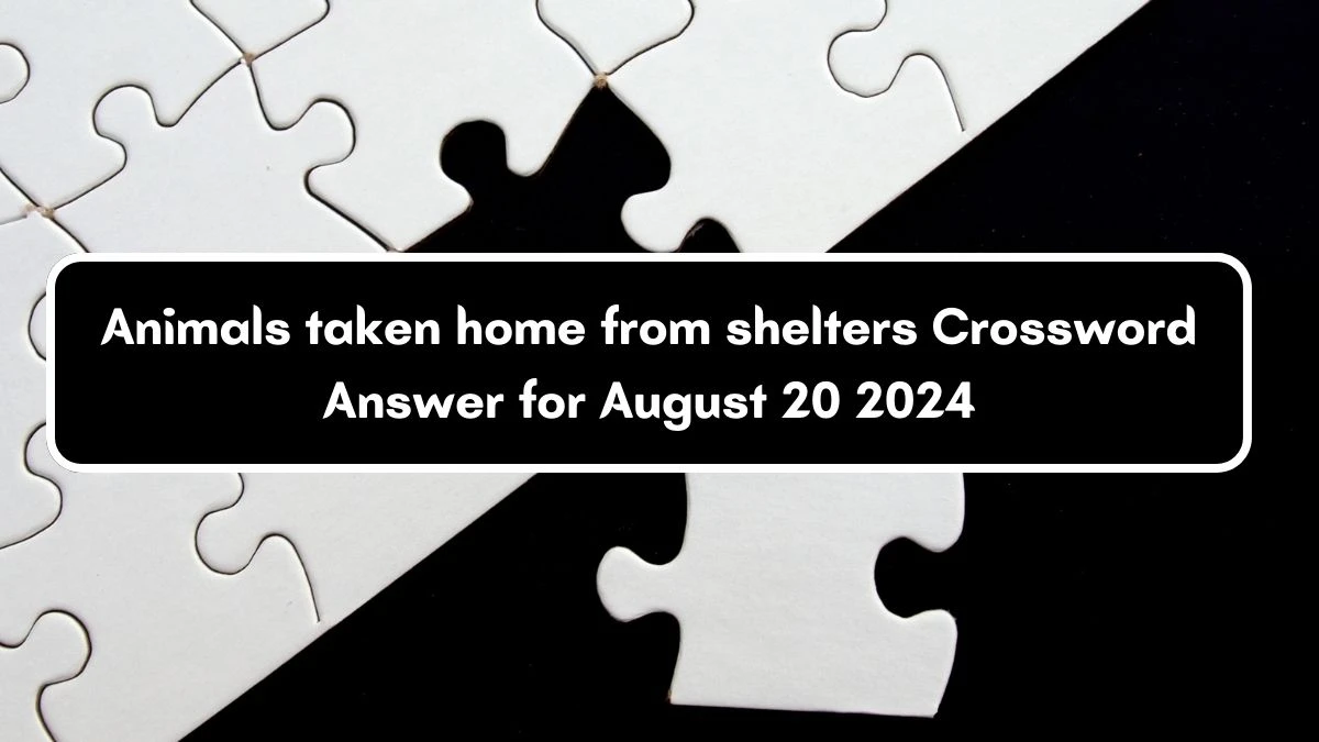 USA Today Animals taken home from shelters Crossword Clue Puzzle Answer from August 20, 2024