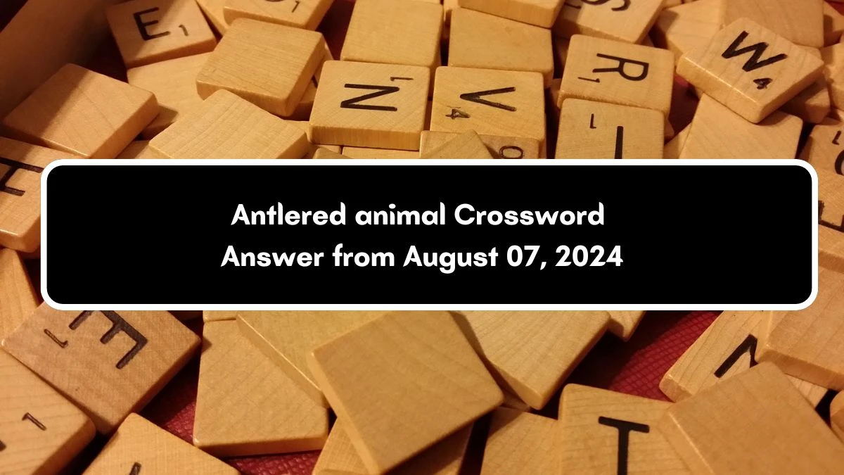 Antlered animal Daily Commuter Crossword Clue Answers on August 07, 2024